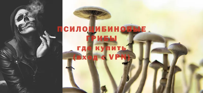 Псилоцибиновые грибы Psilocybine cubensis  где купить наркотик  Калининск 